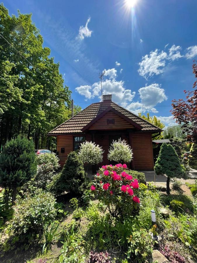 Villa Zarzecze 27A Augustów Exterior foto